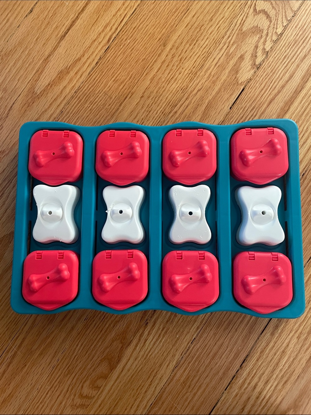 Nina Ottosson Outward Hound Treat Puzzle Toy